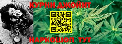 шишки Будённовск