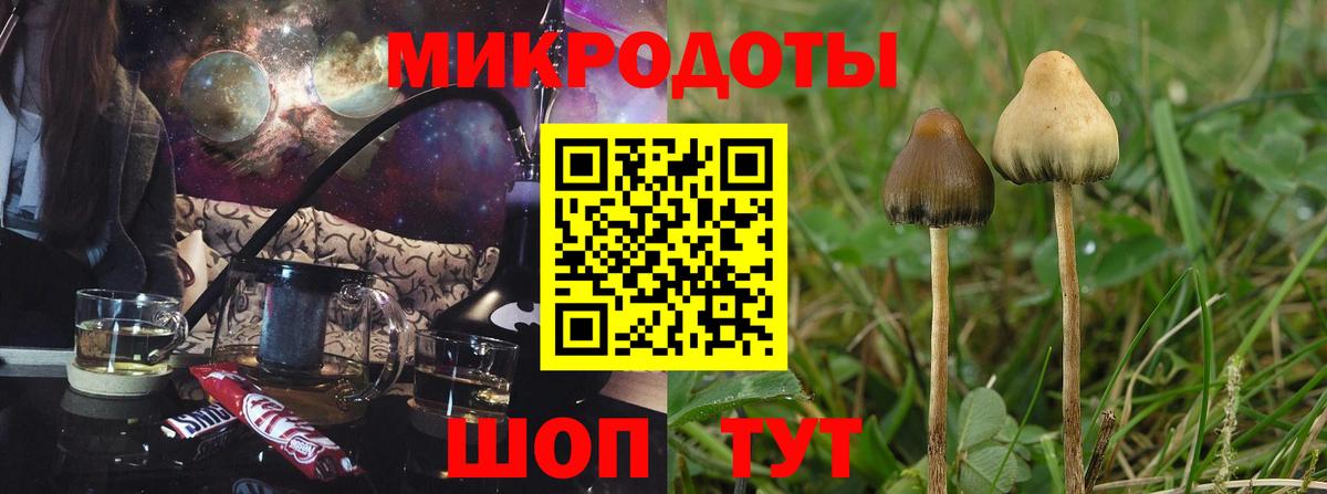 Люберцы  Псилоцибиновые грибы Magic Shrooms  Вход с VPN 